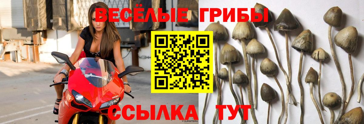 Псилоцибиновые грибы ЛСД  Вход с VPN  Энгельс 