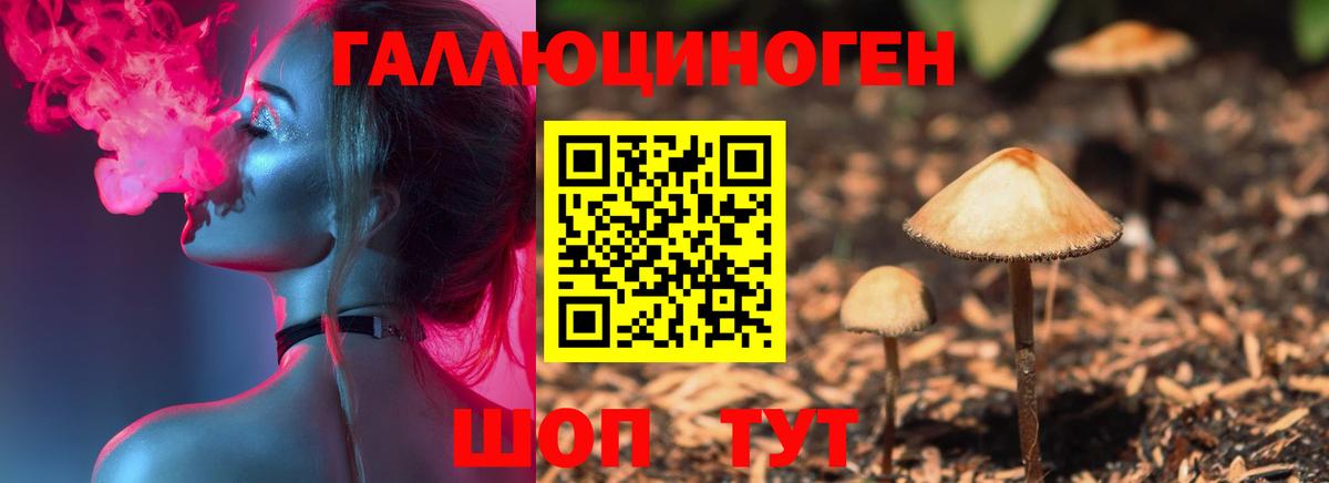 Псилоцибиновые грибы прущие грибы Энгельс